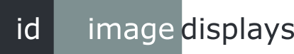 Image Displays Logo